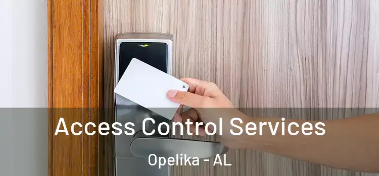  Access Control Services Opelika - AL