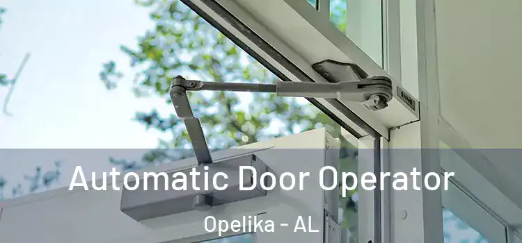  Automatic Door Operator Opelika - AL