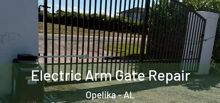 Electric Arm Gate Repair Opelika - AL