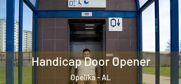  Handicap Door Opener Opelika - AL
